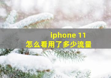 iphone 11怎么看用了多少流量